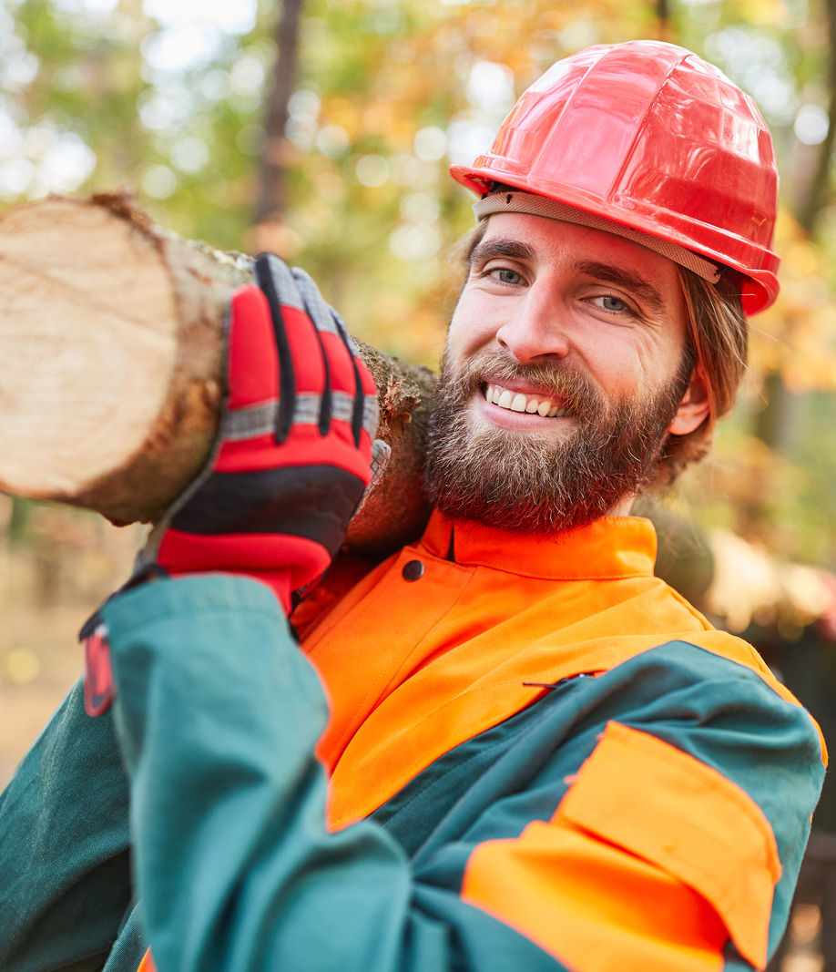 Forestry Worker